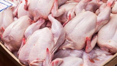 صورة انخفاض تدريجي لأسعار اللحوم البيضاء في الأسواق الوطنية