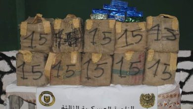 صورة إحباط محاولات إدخال أزيد من 19 قنطار من المخدرات عبر الحدود مع المغرب
