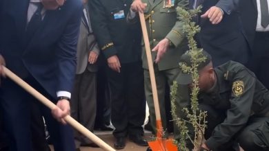 صورة رئيس الجمهورية يعيد تأهيل وتوسيع السد الأخضر بالجلفة