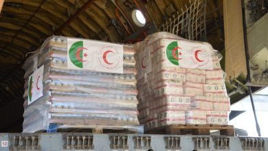 صورة دخول أولى المساعدات الإستعجالية الجزائرية إلى قطاع غزة